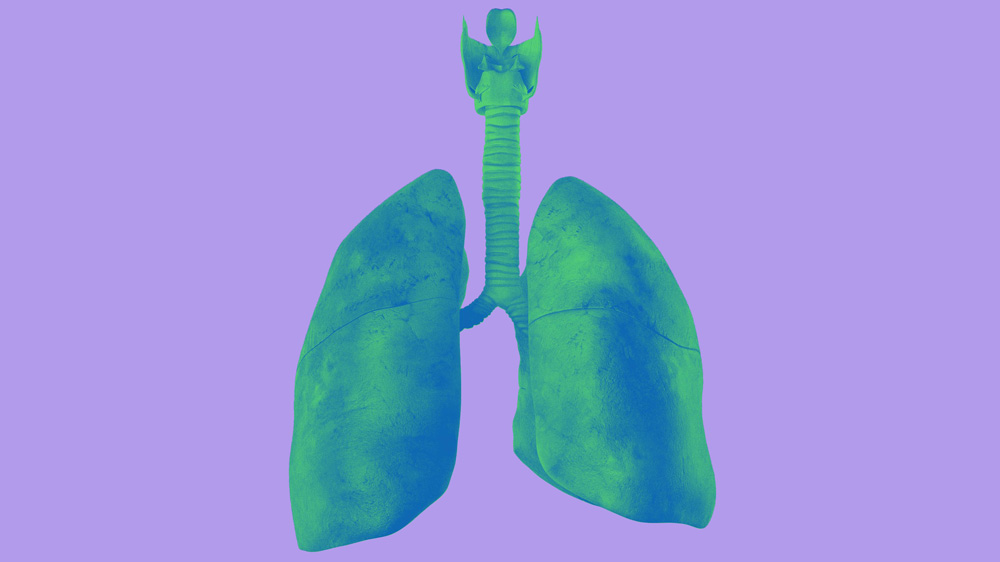 Level Up! Thoracic Education Program for Residents
