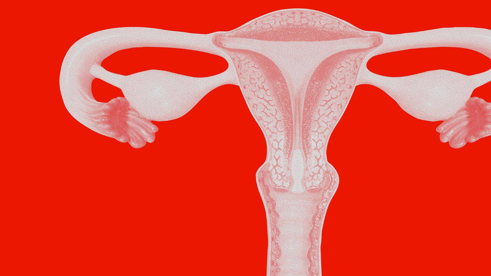 Level Up! Gynecology Education Program for Residents