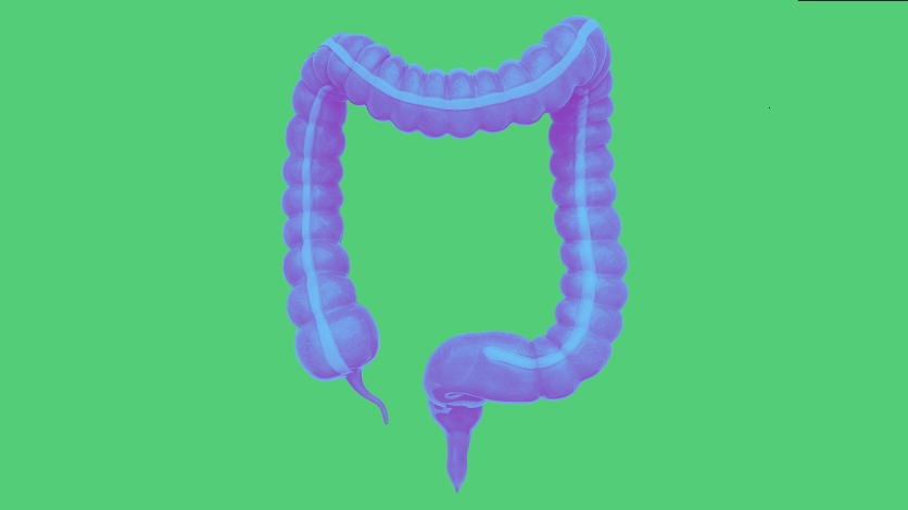 Level Up! Colorectal Education Program for Residents