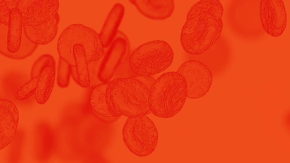 HemostasisED