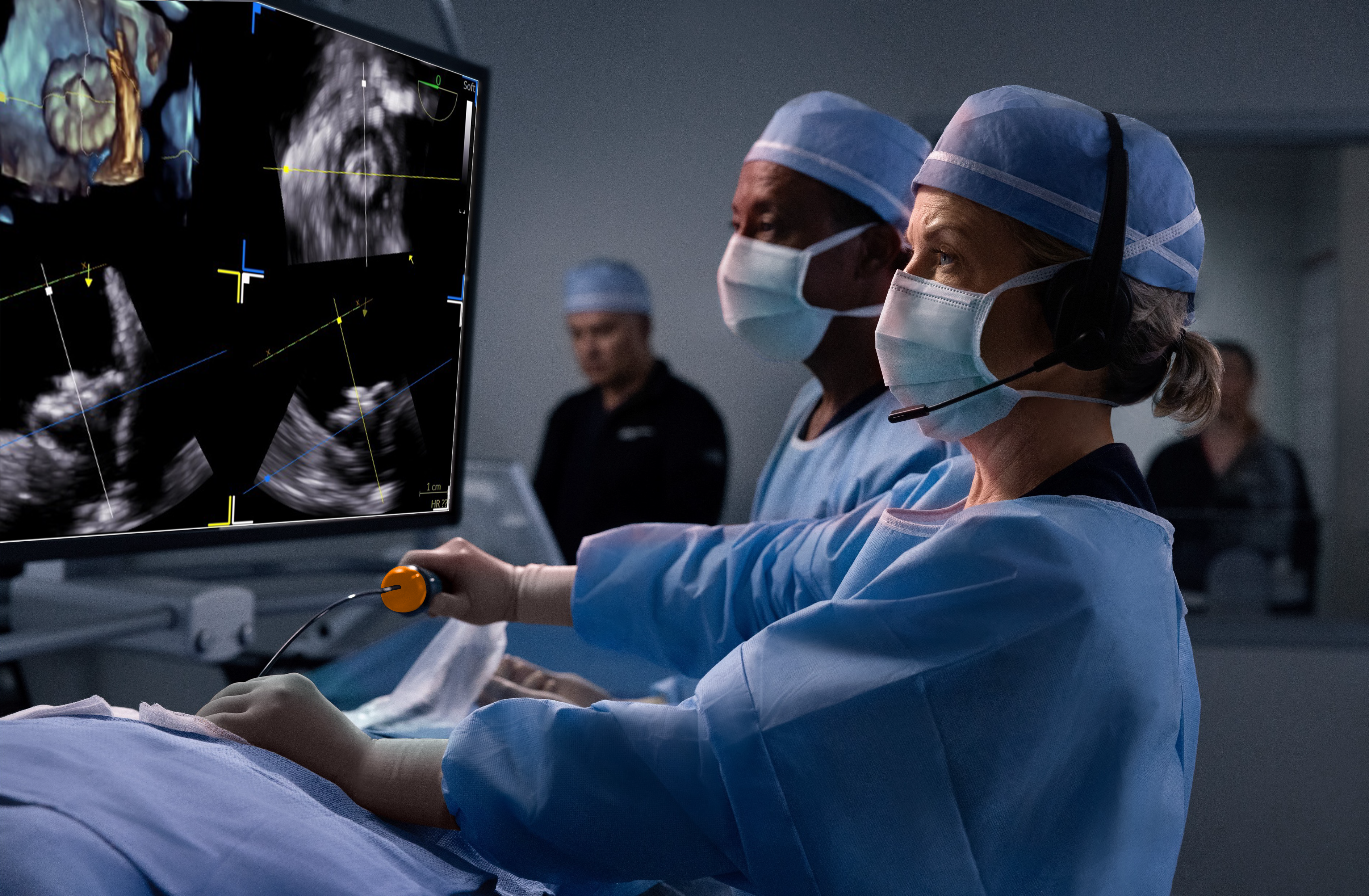 ICE in Structural Heart