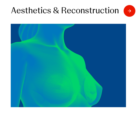 Aesthetics and Reconstruction Image