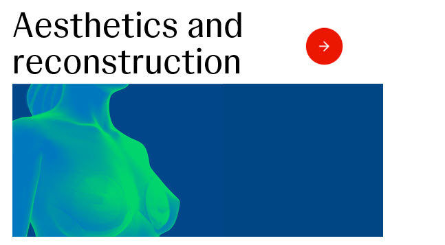 Aesthetics and reconstruction
