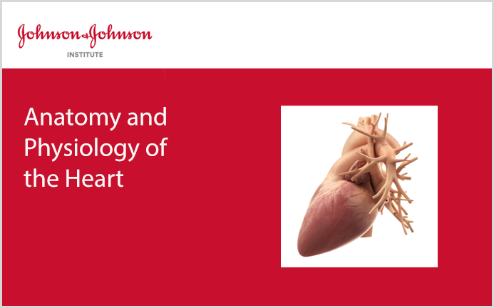 Heart Anatomy and Physiology