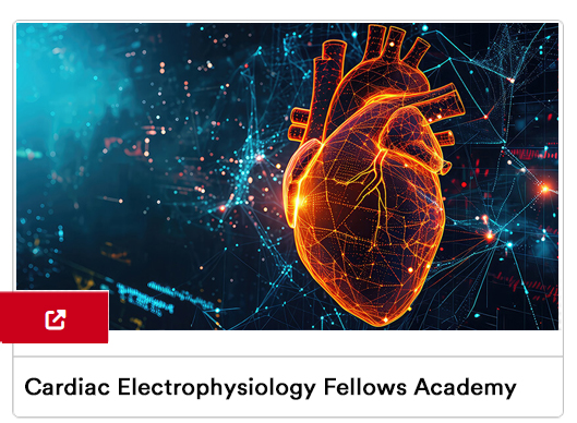 Cardiac Electrophysiology Fellows Image