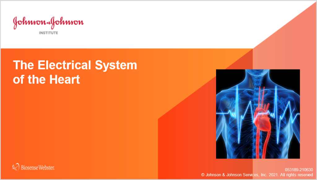 Cardiac Electro Systems
