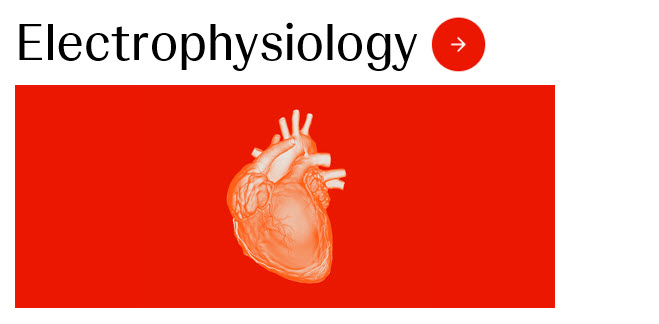 Electrophysiology