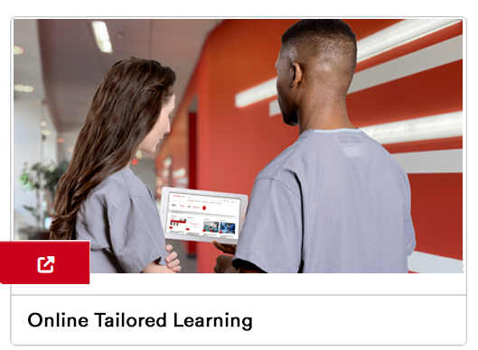 Online Tailored Learning 