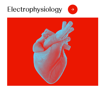 Electrophysiology Image