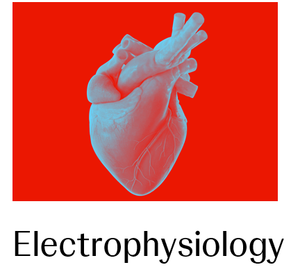 Electrophysiology Image