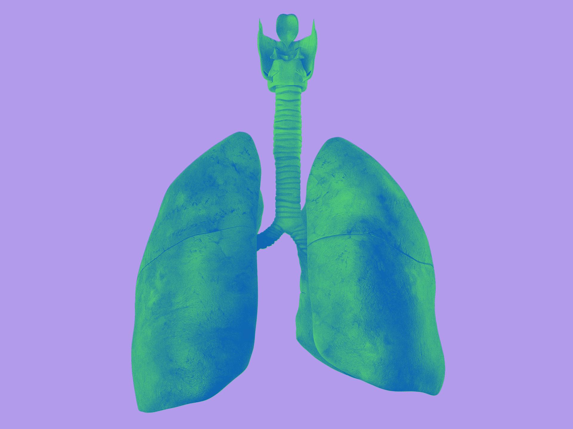 Green Lungs Art