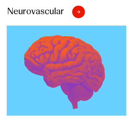 Neurovascular Image