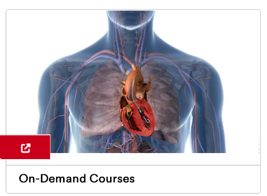 On-Demand Courses Image