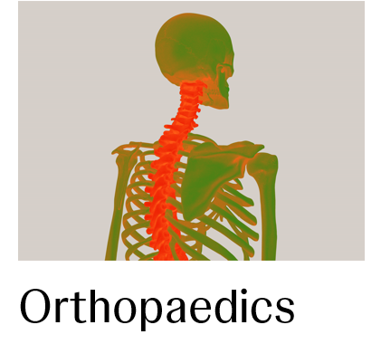 Orthopaedics Image