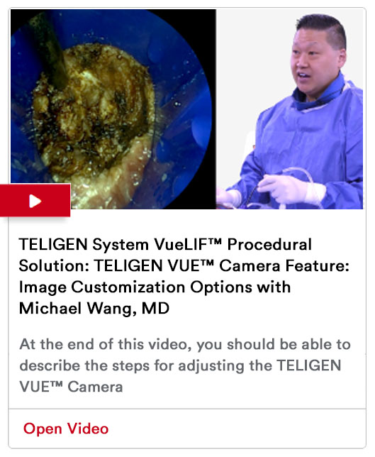 TELIGEN System VueLIF™ Procedural Solution: TELIGEN VUE™ Camera Feature: Image Customization Options with Michael Wang, MD Video Image