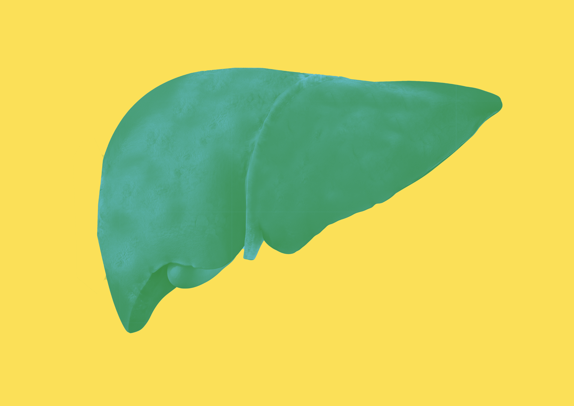 Liver Graphic