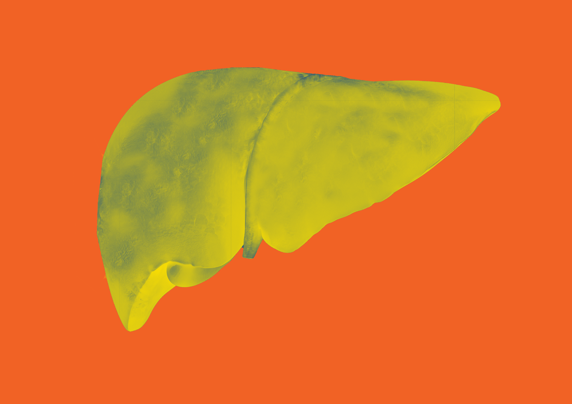 Liver Image