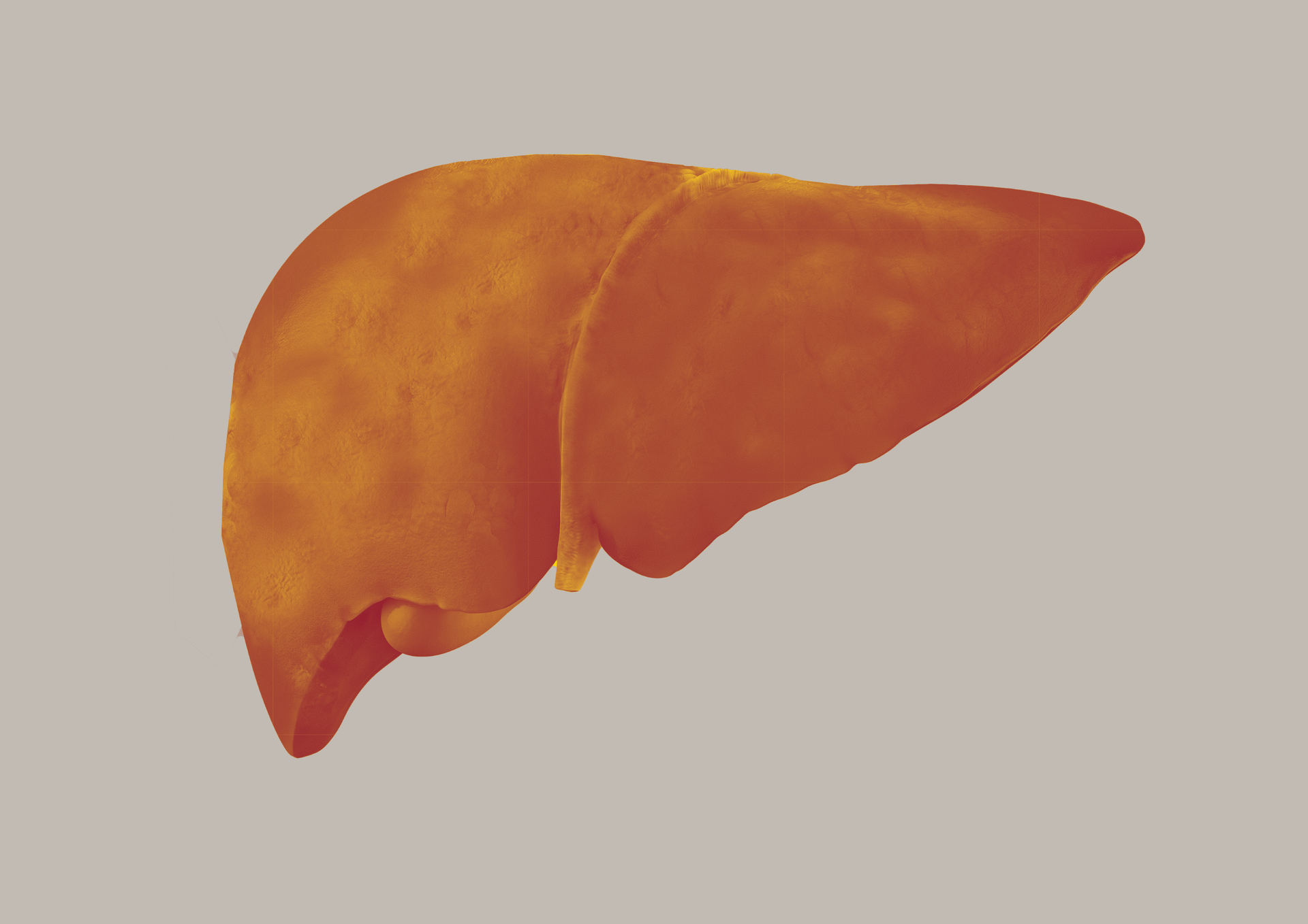 Liver Image