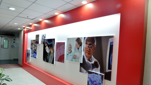 Gallery wall in the Johnson & Johnson Institute facility location in Chennai, India.