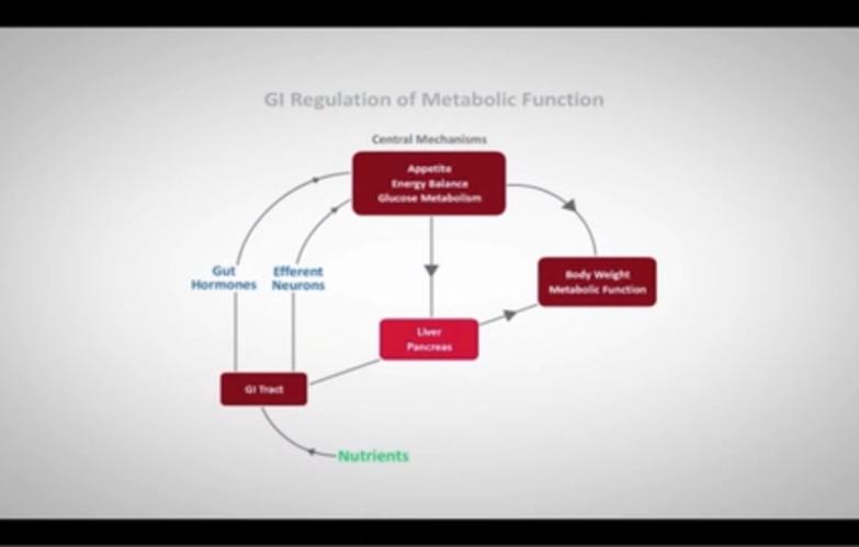 An Image From "GI Regulation of Metabolic Function with Lee Kaplan, MD"