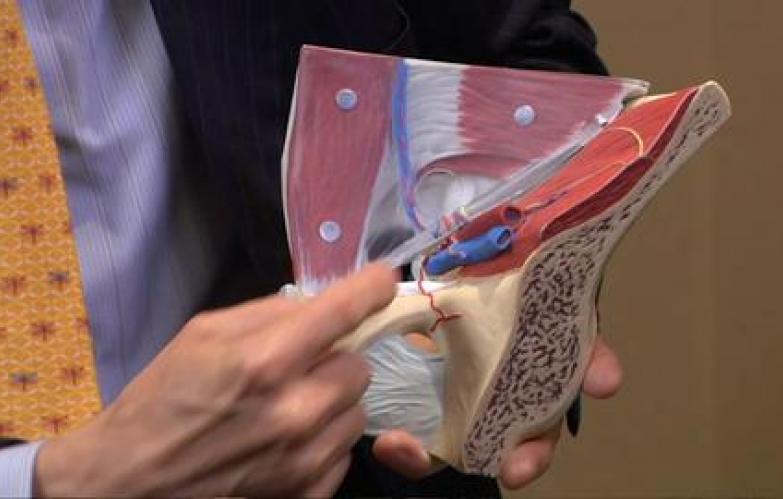 An image from the "Anatomy Review for Laparoscopic Inguinal Hernia Repair with Kent Kercher, MD" video on the JnJInstitute.com website.