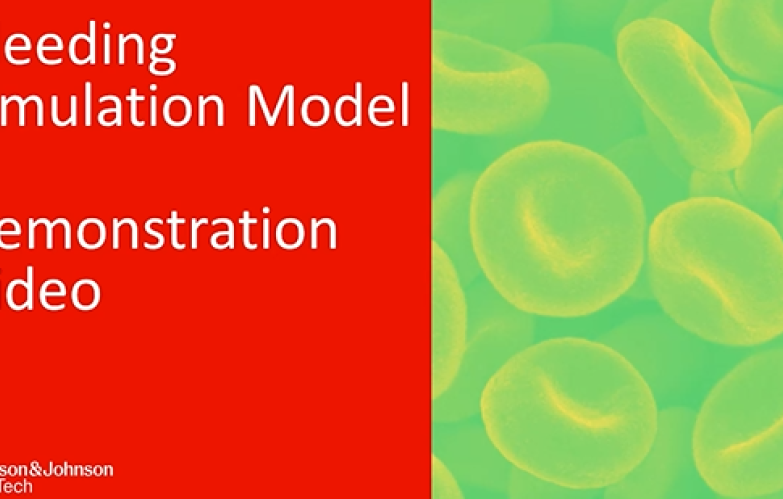 Bleeding Simulation Model