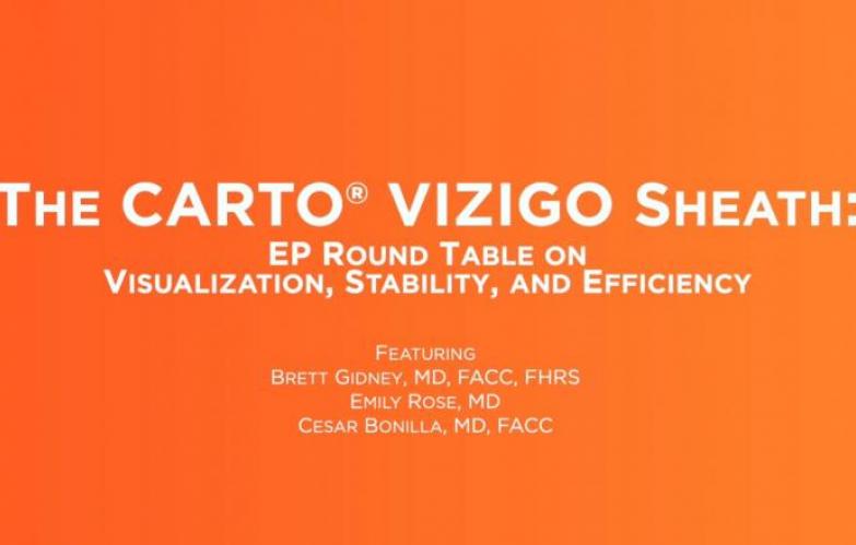 The CARTO® VIZIGO Sheath: EP Round Table Header Image