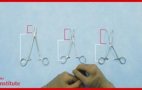 instrument anatomy