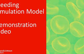 Bleeding Simulation Model