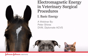 An image from the "Learning about Basic Energy with Peter Shires, DVM" video on the JnJInstitute.com website.