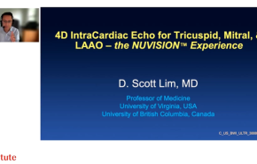 An Image From "Intracardiac Echo for Tricuspid, Mitral and LAAO - The NUVISION Experience"