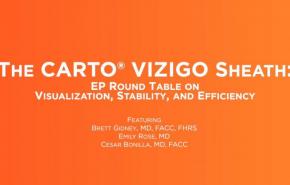 The CARTO® VIZIGO Sheath: EP Round Table Header Image