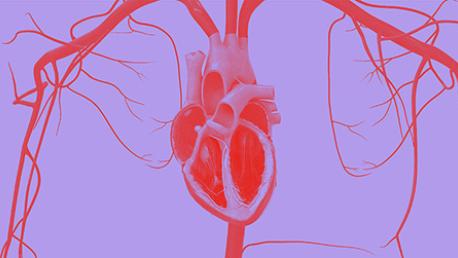 Nurse and Allied Health Cardiac Academy Image