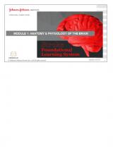 Anatomy & Physiology of the Brain