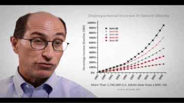 An Image From "Part 1: Obesity Demographics in the US with Lee Kaplan, MD"