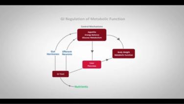 An Image From "GI Regulation of Metabolic Function with Lee Kaplan, MD"