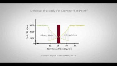 An Image From "Defense of the Set Point with Lee Kaplan, MD"