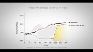 An Image From "Variability of the Set Point with Randy Seeley, MD"