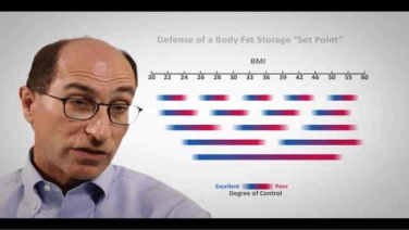 An Image From "Effect of Varying Responses to the Modern Environment on Weight Management with Lee Kaplan, MD"