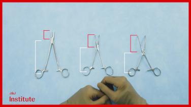 instrument anatomy