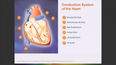 An image from the "EP Ablation Coding & Compliance: Physician Coding 2019 Update" video on the JnJInstitute.com website.