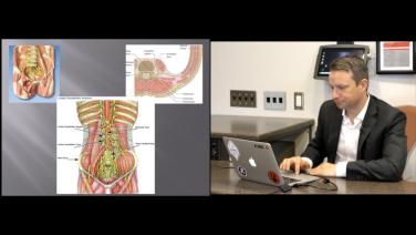 An image displaying the lumbar spine anatomy for review.