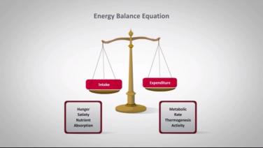 An image from the "Energy Balance Equation with Randy Seeley, MD" video from the JnJInstitute.com website.