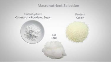 An image from the "Impact on Food Selection with Randy Seeley, MD" video on the JnJInstitute.com website.