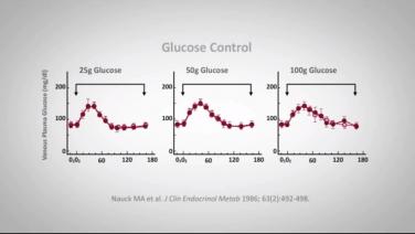 An image from the "Impact on Incretin with Randy Seeley, MD" video on the JnJInstitute.com website.