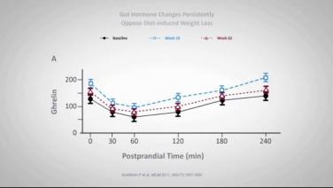 An image from the "Revisiting the Effects of Dieting with David Kaplan, MD" video on the JnJInstitute.com website.