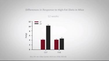 An image from the "Why Do Some People Remain Lean with Randy Seeley, MD" video on the JnJInstitute.com website.