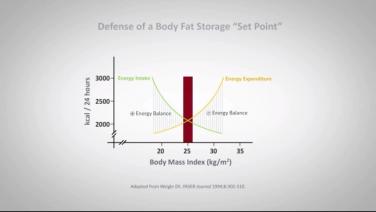 An image from the "Defense Of The Set Point with David Kaplan, MD" video on the JnJInstitute.com website.