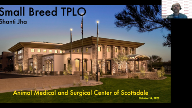 An image from the "TPLO in Small Breed Dogs: Indications, Techniques & Tips" video on the JnJInstitute.com website.