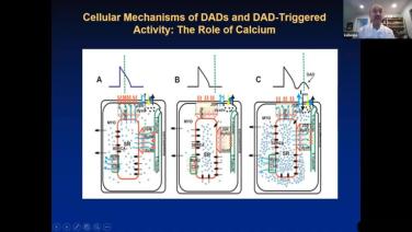 Disorders of Impulse Formation and Conduction with Kenneth Ellenbogen, MD Header Image